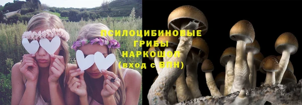 гашишное масло Новозыбков