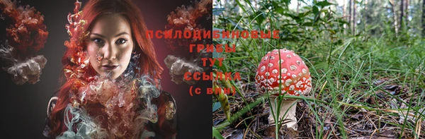 кокс Новодвинск